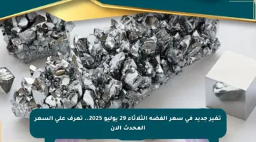 تغير جديد في سعر الفضة الثلاثاء 29 يوليو 2025.. تعرف على السعر المحدث الآن